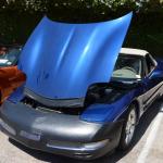 StElizabeth_0010 (September 09, 2016)